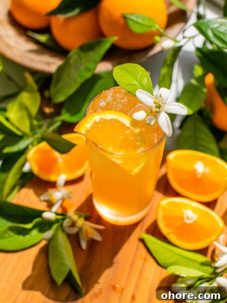 Orange Blossom Gin & Tonic Recipe — Floral G&T Cocktail Guide 8 a glass of an orange gin and tonic with an orange blossom and orange slice as garnish, plus leaves and extra orange slices scattered around