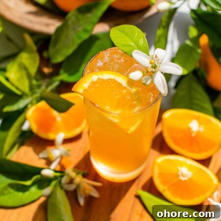 Orange Blossom Gin & Tonic Recipe — Floral G&T Cocktail Guide 9 a glass of an orange gin and tonic with an orange blossom and orange slice as garnish, plus leaves and extra orange slices scattered around