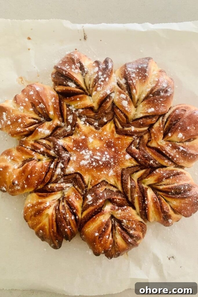 Sourdough Recipes for a Romantic Valentine’s Day Meal 16 A sourdough chocolate star bread dusted in powdered sugar.