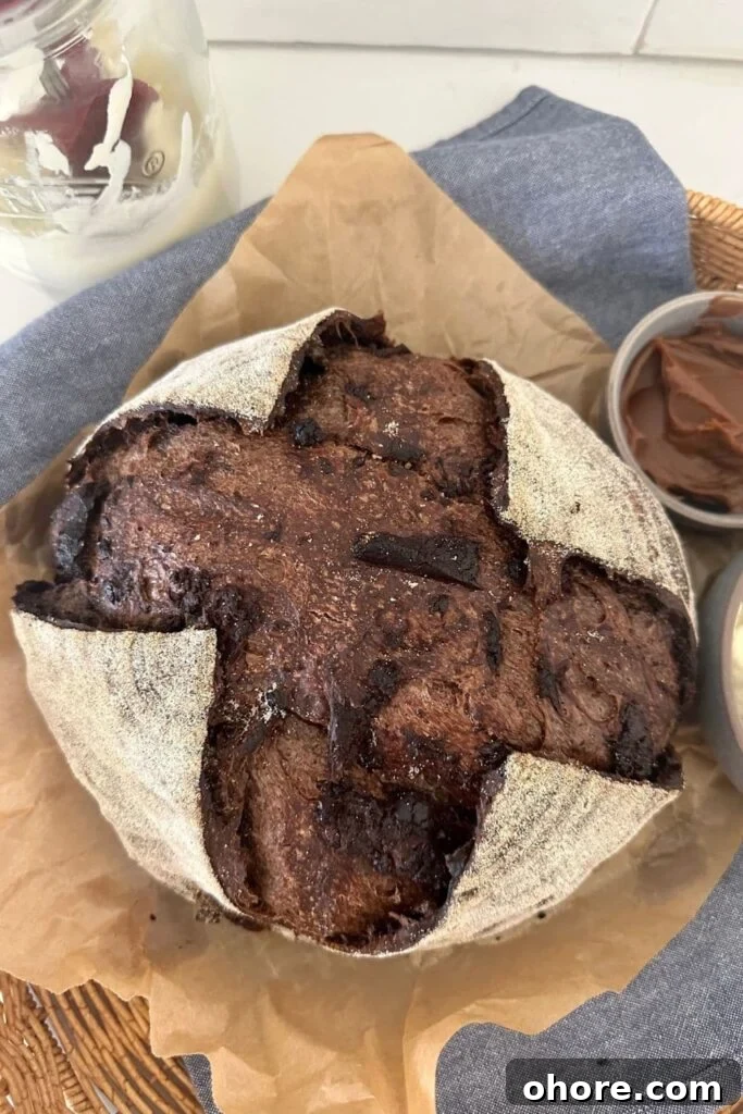 Sourdough Recipes for a Romantic Valentine’s Day Meal 20 Round loaf of sourdough chocolate bread sitting on a piece of parchment paper and a blue dish towel.
