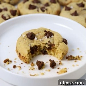 Sourdough Recipes for a Romantic Valentine’s Day Meal 38 Sourdough Chocolate Chip Cookies - Recipe Feature Image