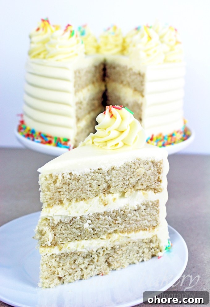 Fluffy Vegan Vanilla Cake Recipe for Perfect Homemade Dessert 2 The Best Vegan Vanilla Cake Recipe