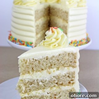 The Best Vegan Vanilla Cake Recipe