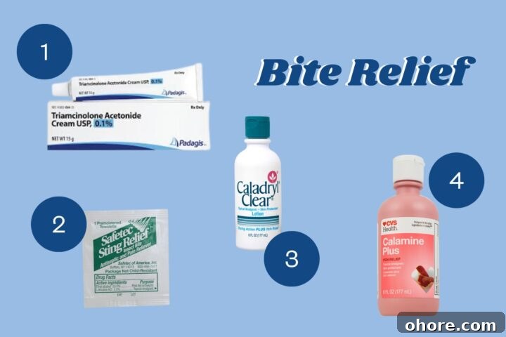 Mosquito Survival Guide: Teri’s Expert Tips for Avoiding Bites 12 bug bite relief products