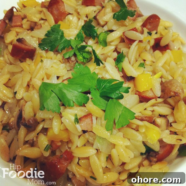 img_3377-1 Orzo with Sausage, Bell Peppers & Tomatoes