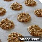 No-Bake Peanut Butter Cookies Recipe — Quick No-Oven Treats 2 Peanut butter cookies