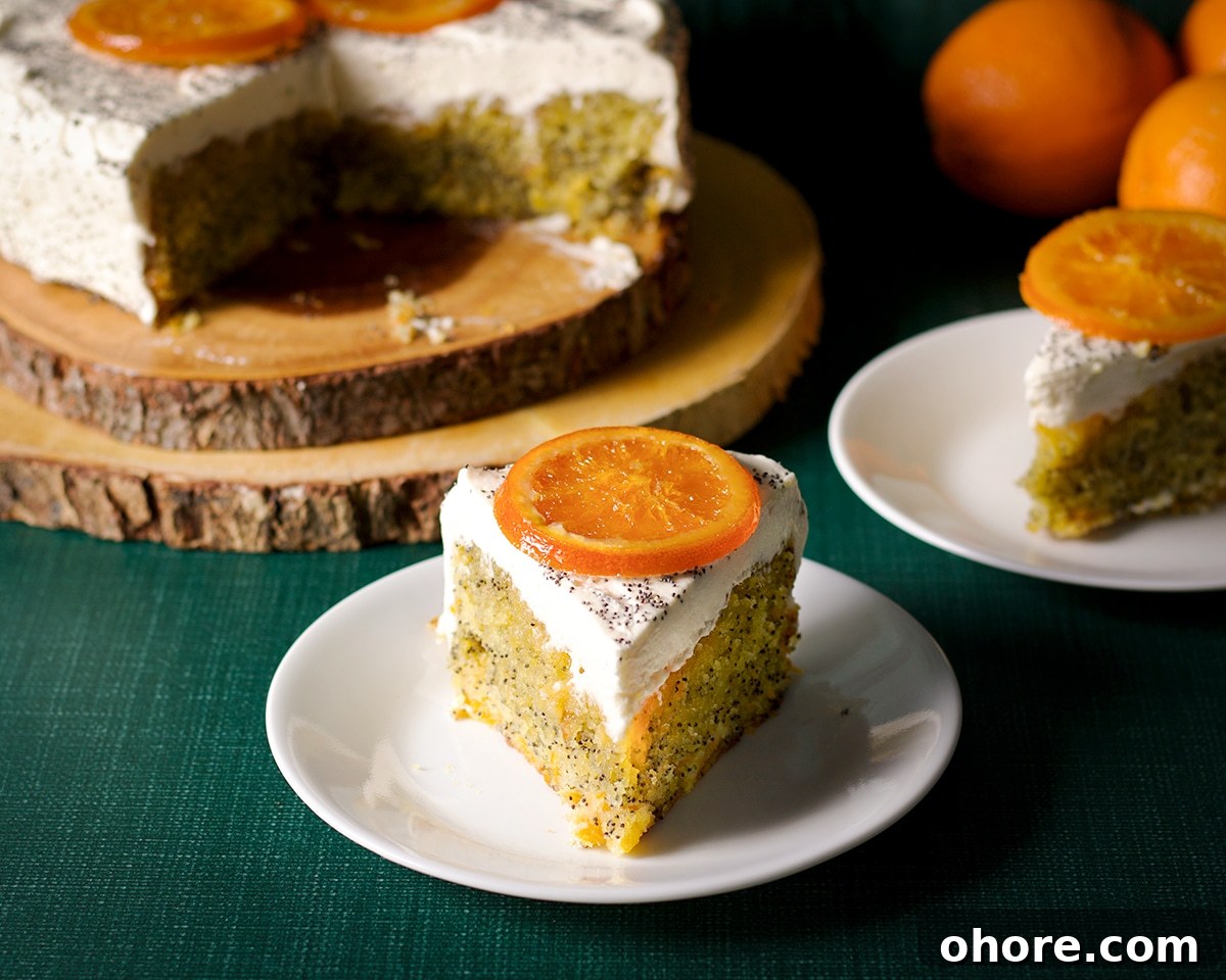 Orange Poppy Seed Cake with Mascarpone Frosting Recipe 21 A slice of orange poppy seed cake with mascarpone frosting decorated with a candied orange slice.