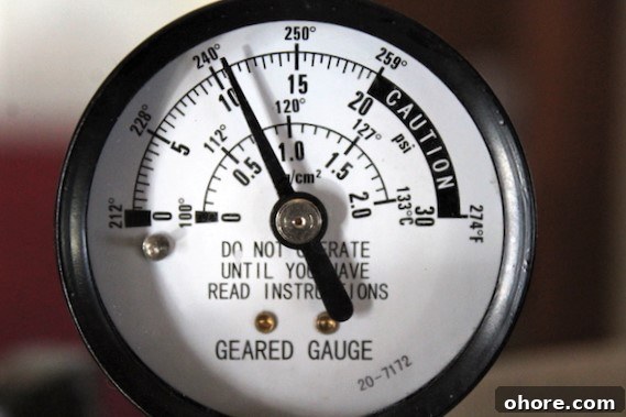 Pressure Canner Guage