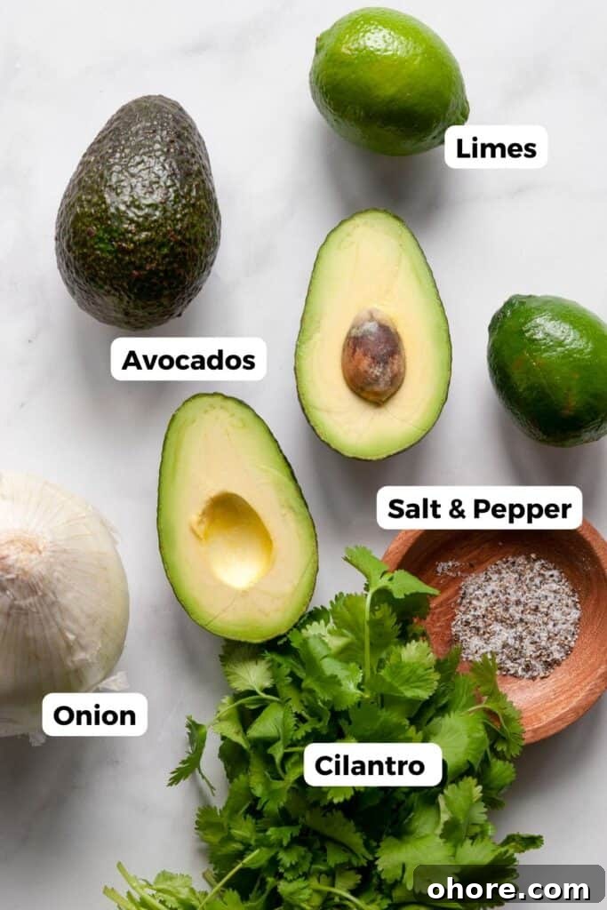 Four ingredients for guacamole on countertop labeled: avocados, onion, cilantro, and limes