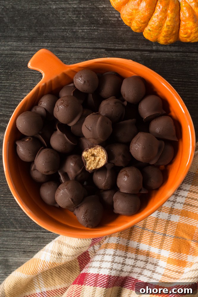 Vegan Peanut Butter Chocolate Truffles: No-Bake Snack Recipe 2 Vegan Peanut Butter Chocolate Balls in orange pumpkin bowl by Flora & Vino