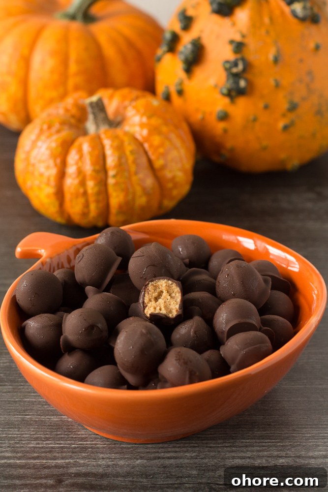 Vegan Peanut Butter Chocolate Truffles: No-Bake Snack Recipe 9 Vegan Peanut Butter Chocolate Balls with bite out of one by Flora & Vino