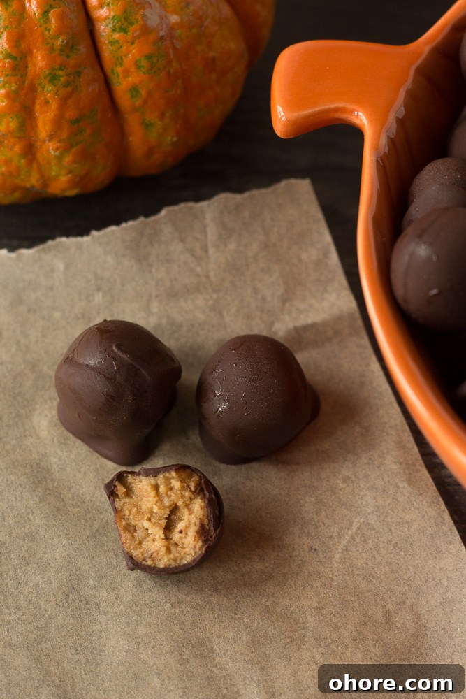 Vegan Peanut Butter Chocolate Truffles: No-Bake Snack Recipe 10 Vegan Peanut Butter Chocolate Balls with bite out of one by Flora & Vino