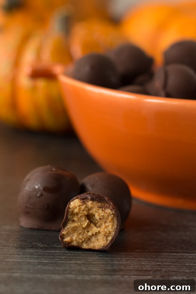 Vegan Peanut Butter Chocolate Truffles: No-Bake Snack Recipe 11 Vegan Peanut Butter Chocolate Balls with bite out of one by Flora & Vino