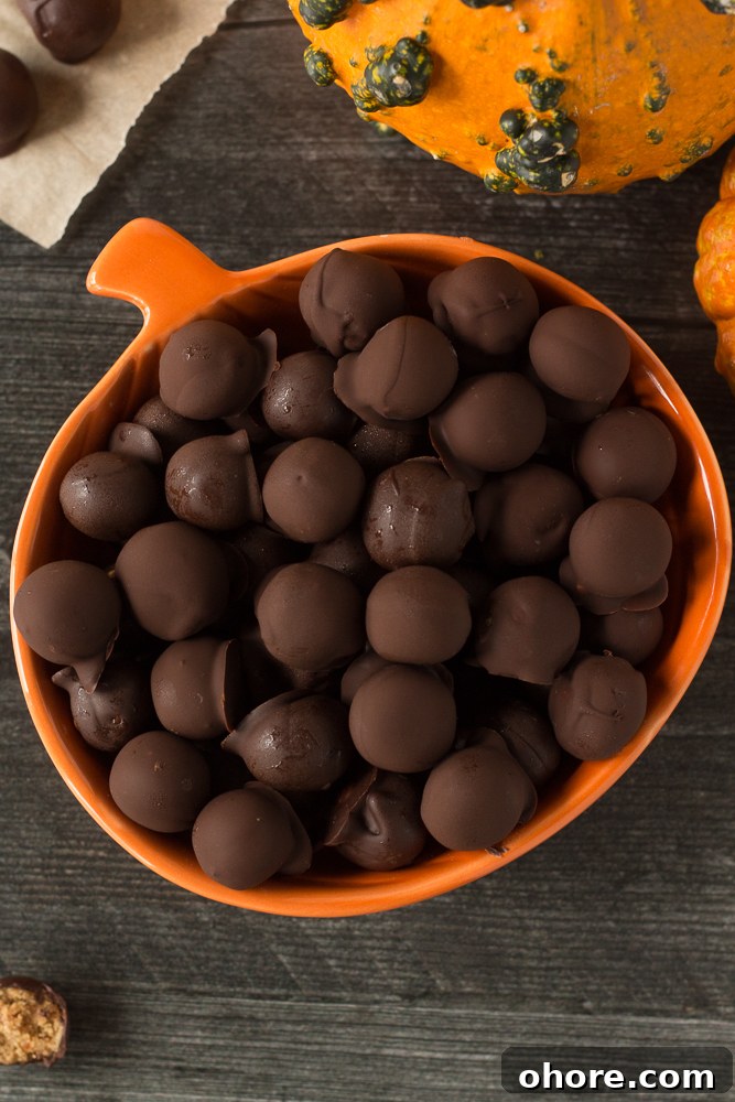 Vegan Peanut Butter Chocolate Truffles: No-Bake Snack Recipe 8 Vegan Peanut Butter Chocolate Balls served in orange bowl by Flora & Vino