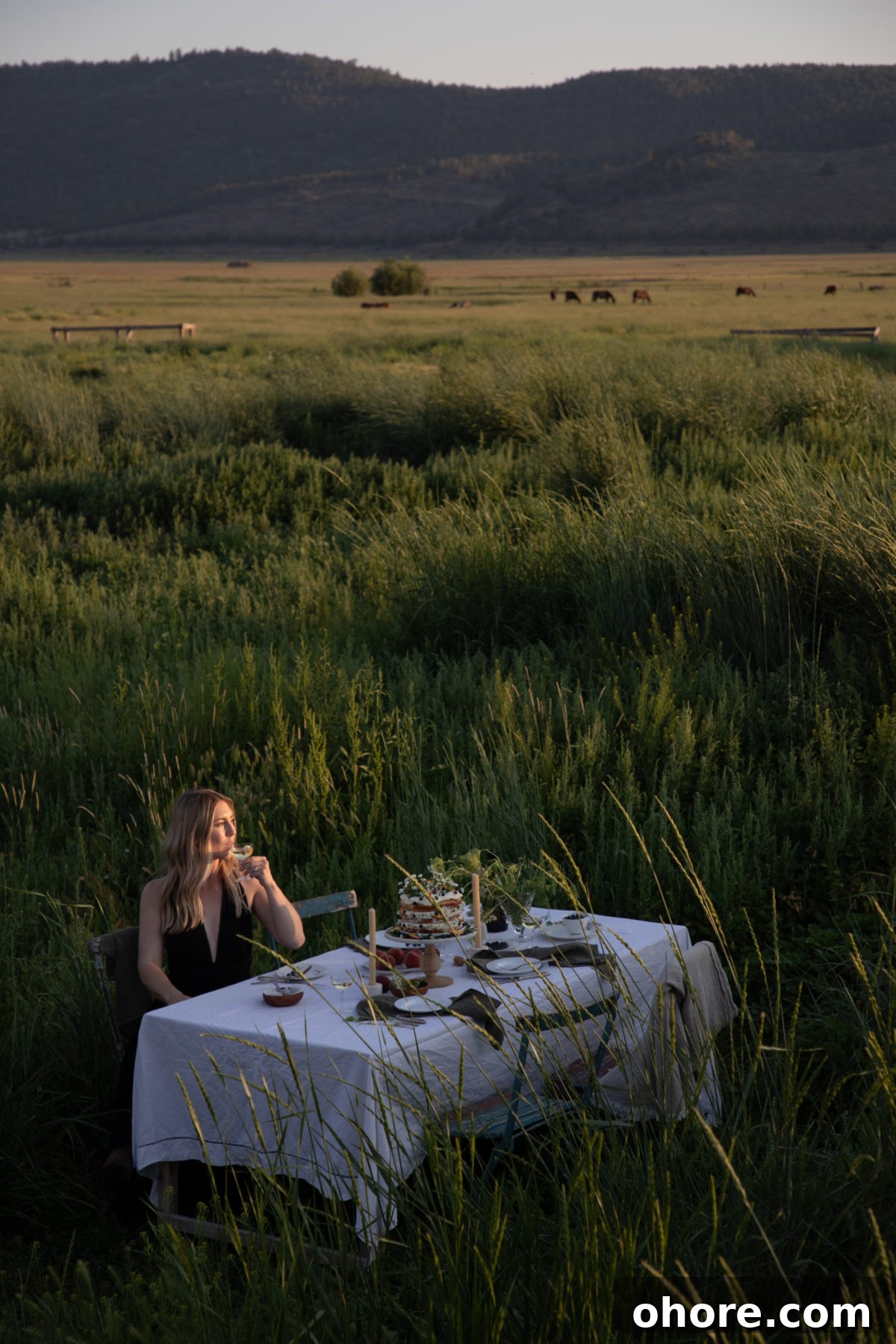 Ultimate Homemade Peach Cake Recipe for Moist, Fruity Perfection 6 a woman sitting at a white cloth covered table in the middle of a field with a cake and drinks on the table