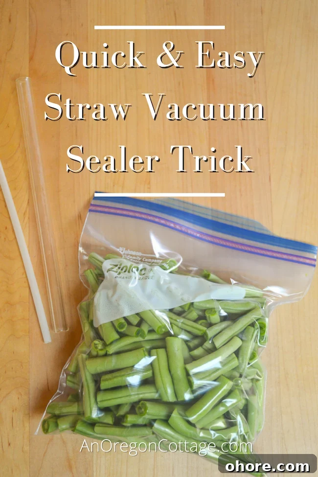 How to Make a DIY Straw Vacuum Sealer for Food Storage 2 quick straw vacuum sealer