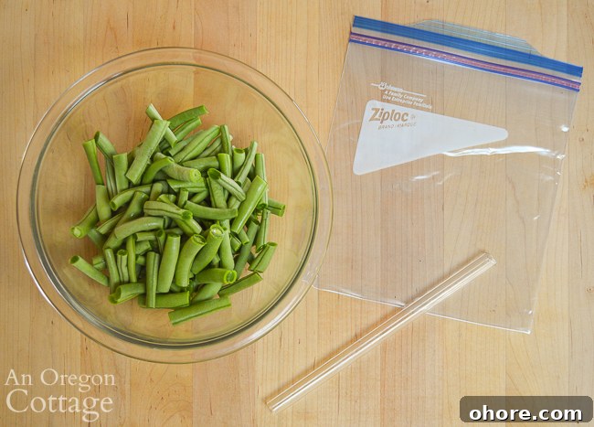 How to Make a DIY Straw Vacuum Sealer for Food Storage 3 straw vacuum sealer supplies