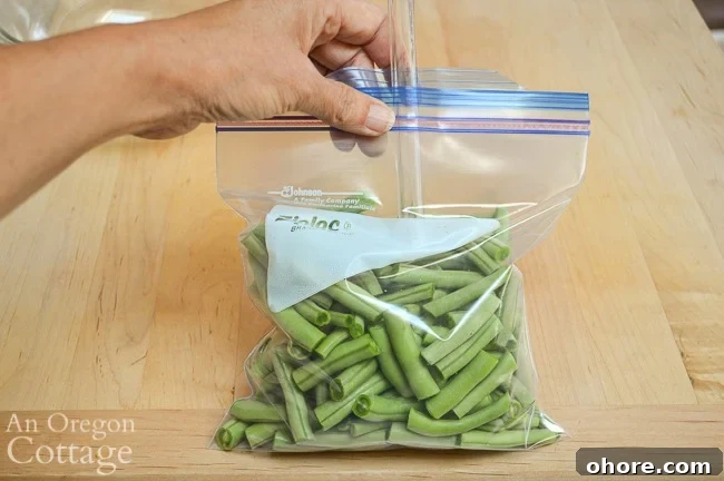 How to Make a DIY Straw Vacuum Sealer for Food Storage 4 using straw to seal baggie