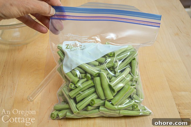 How to Make a DIY Straw Vacuum Sealer for Food Storage 5 straw sealed vegetables in bag
