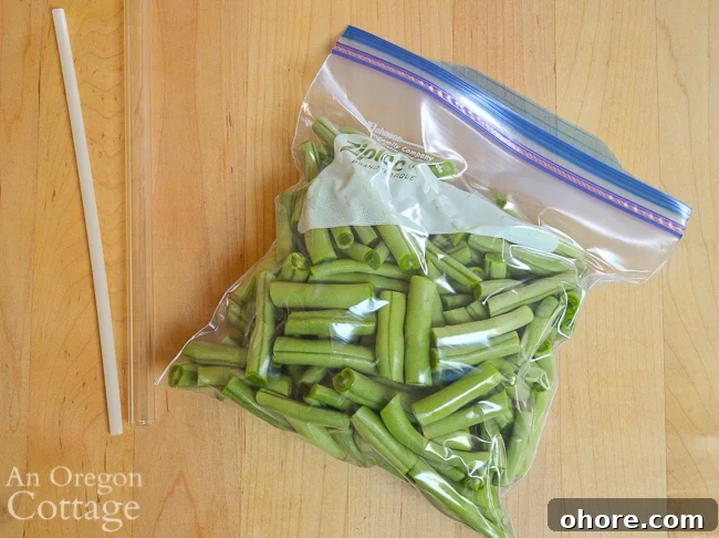How to Make a DIY Straw Vacuum Sealer for Food Storage 6 straw sealer baggie