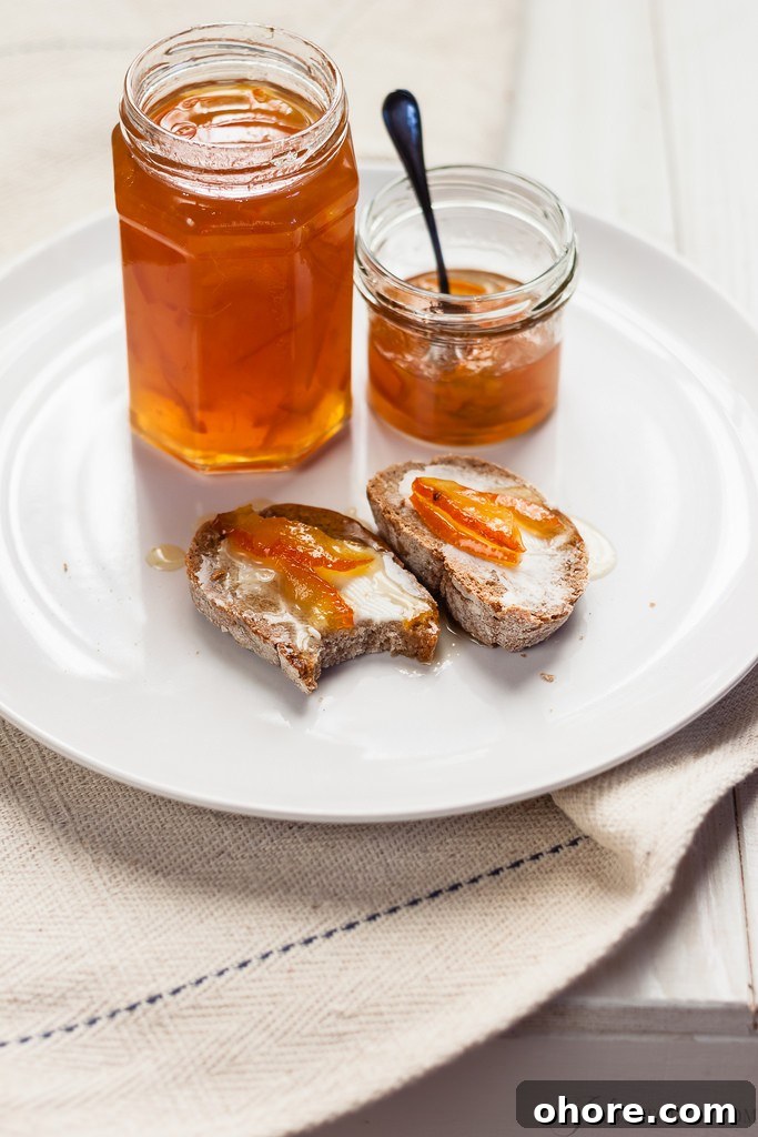 orange marmalade orange marmalade