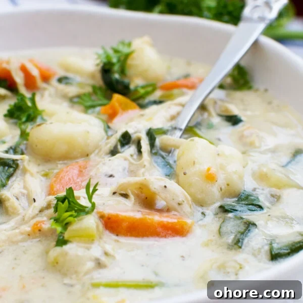 One-Pan Baked Creamy Broccoli Gnocchi Recipe 10 A close up of crockpot chicken gnocchi soup in a white bowl with a spoon