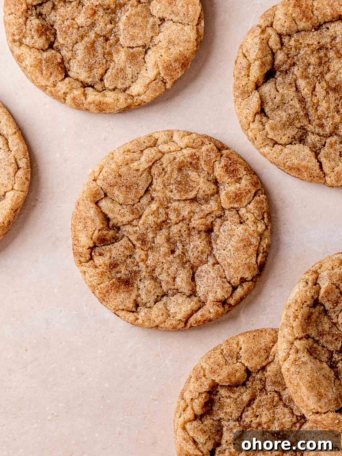 Sourdough snickerdoodle cookies sprinkled with cinnamon.