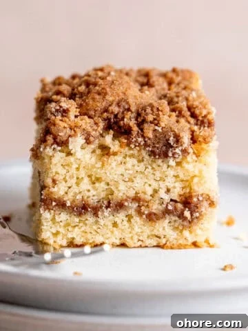A slice of sourdough discard coffee cake with cinnamon streusel layers.