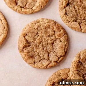 A chewy snickerdoodle cookie made with sourdough discard.