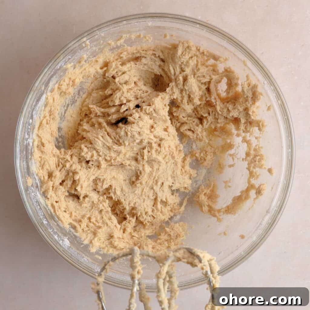 Snickerdoodle cookie dough mixture combined in a bowl.