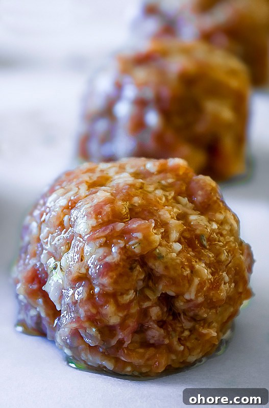 Raw meatballs ready for the grill; Grilled Meatball Hoagie Sandwiches with Spicy Tomato Sauce and Melted Cheese © 2018 Jane Bonacci, The Heritage Cook