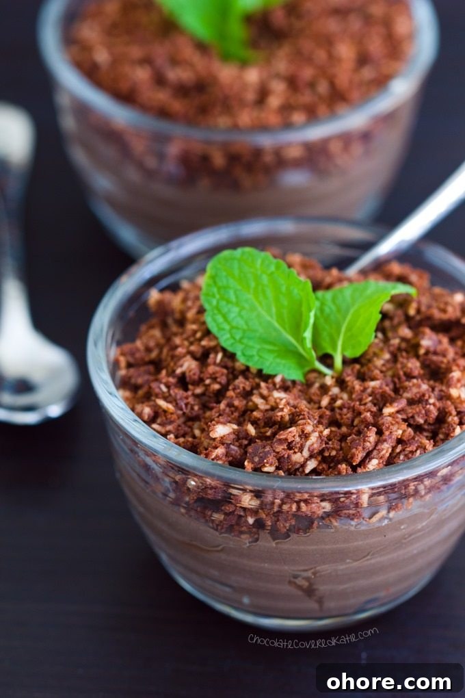 Dirt Pudding Cups closeup Dirt Pudding Cups closeup