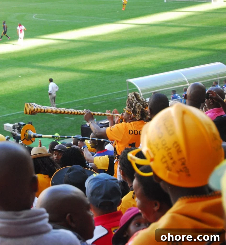 A Duck's Oven: Soccer at Cape Town Stadium. A recap of the Ajax vs. Kaiser Chiefs match in Cape Town, South Africa!
