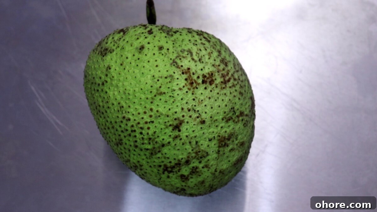 Crispy Breadfruit Fry (Nirpanas/Kadgi) Recipe 3 Breadfruit (Nirpanas) image.