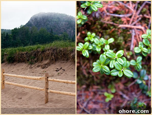 Between Sea and Mountain: Coastal and Mountain Escapes 4 spanish tortilla potato acadia maine