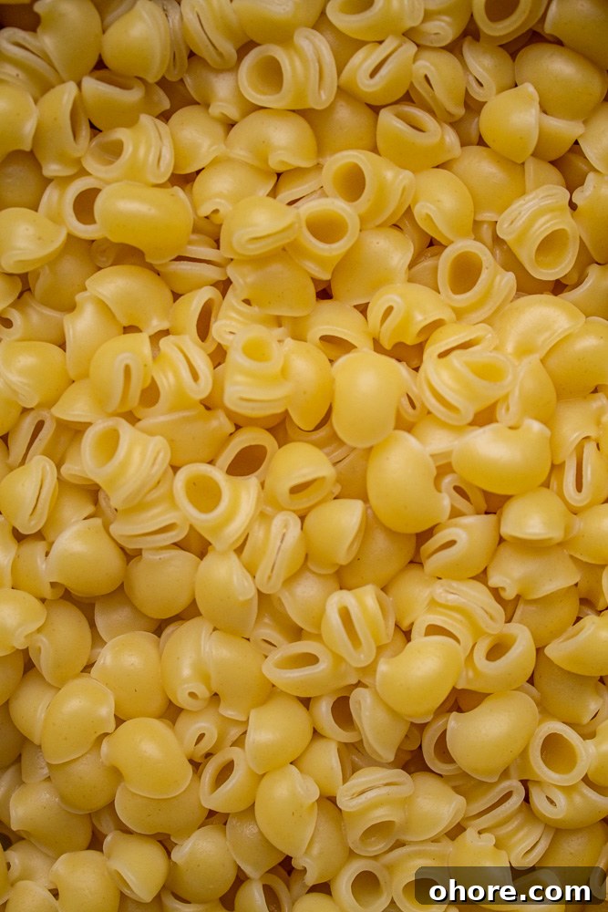 Classic Rigatoni alla Carbonara Recipe — Authentic Italian Flavor 7 Pasta