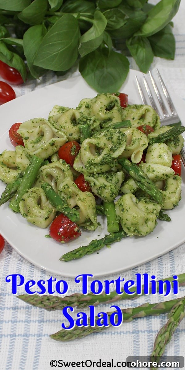 A serving of Pesto Tortellini Salad.