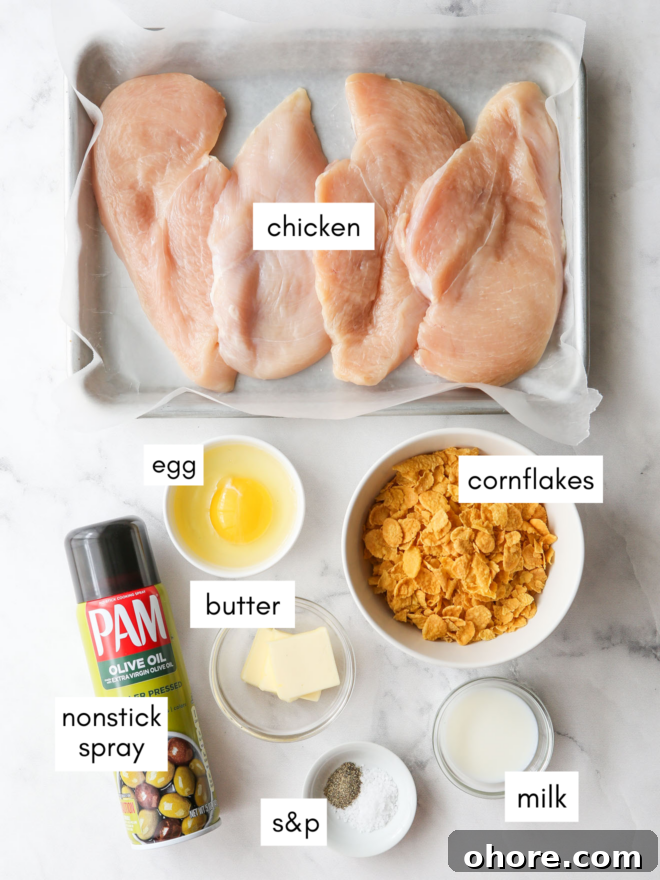 Crispy Oven-Fried Chicken Recipe: Juicy, Golden, and Tender 4 img 38529 3