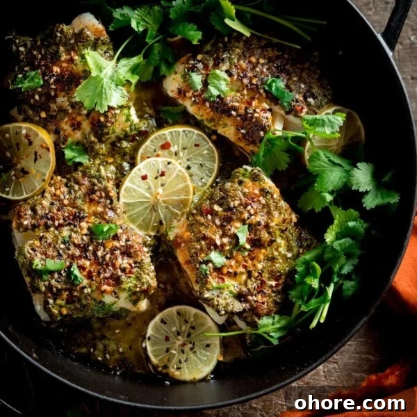 A square photo of a big pan of coriander lime cod bake, garnished with slices of lime and coriander stalks.