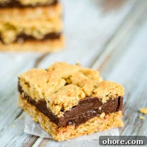 oatmeal fudge bars