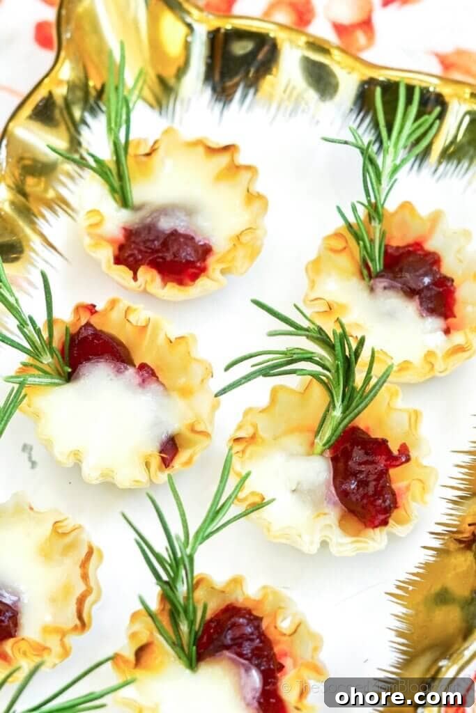 Cranberry Brie Bites with rosemary garnish