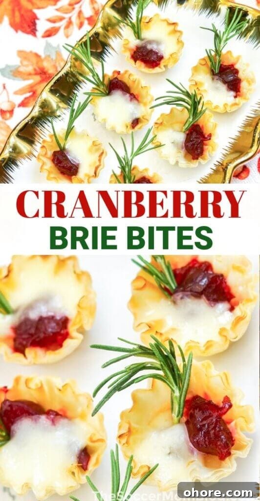 Cranberry Brie Bites Pinterest Image