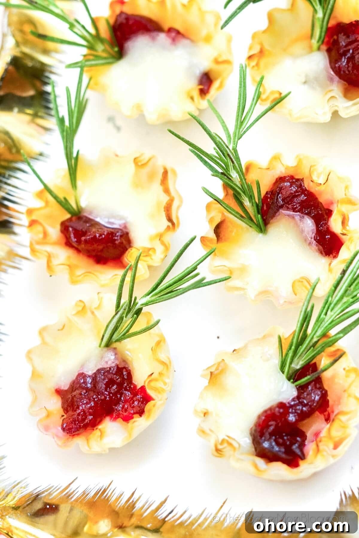 Cranberry Brie Bites with green garnish