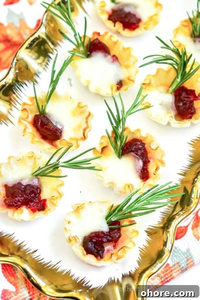 tray of appetizers: phyllo dough shell filled with melted brie and cranberry sauce
