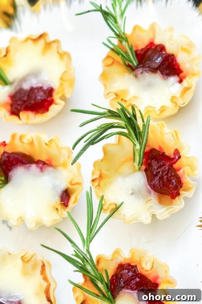 Close up of Cranberry Brie Bites