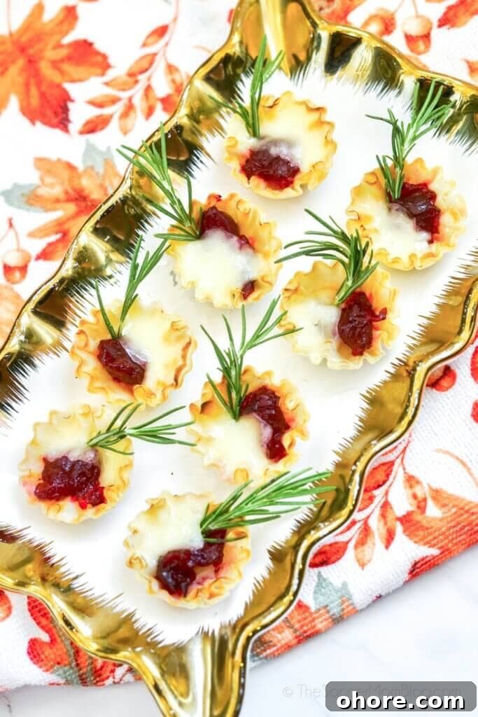 White plate with gold trim and Cranberry Brie Bites