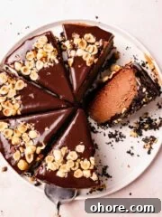 sliced nutella cheesecake with chocolate ganache and chopped hazelnuts