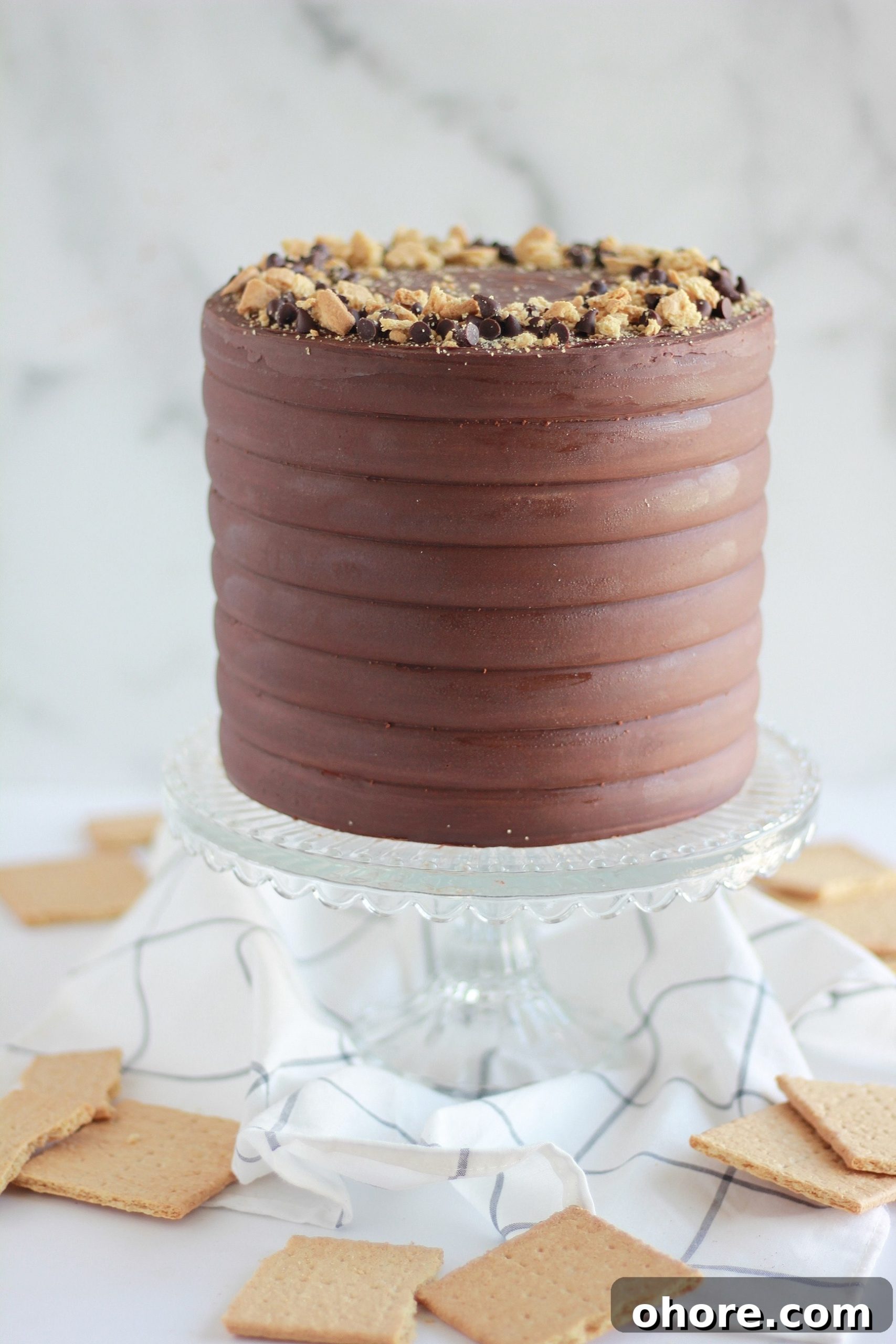 Decadent Chocolate Graham Cracker Layer Cake Recipe 2 img 4429 1 scaled