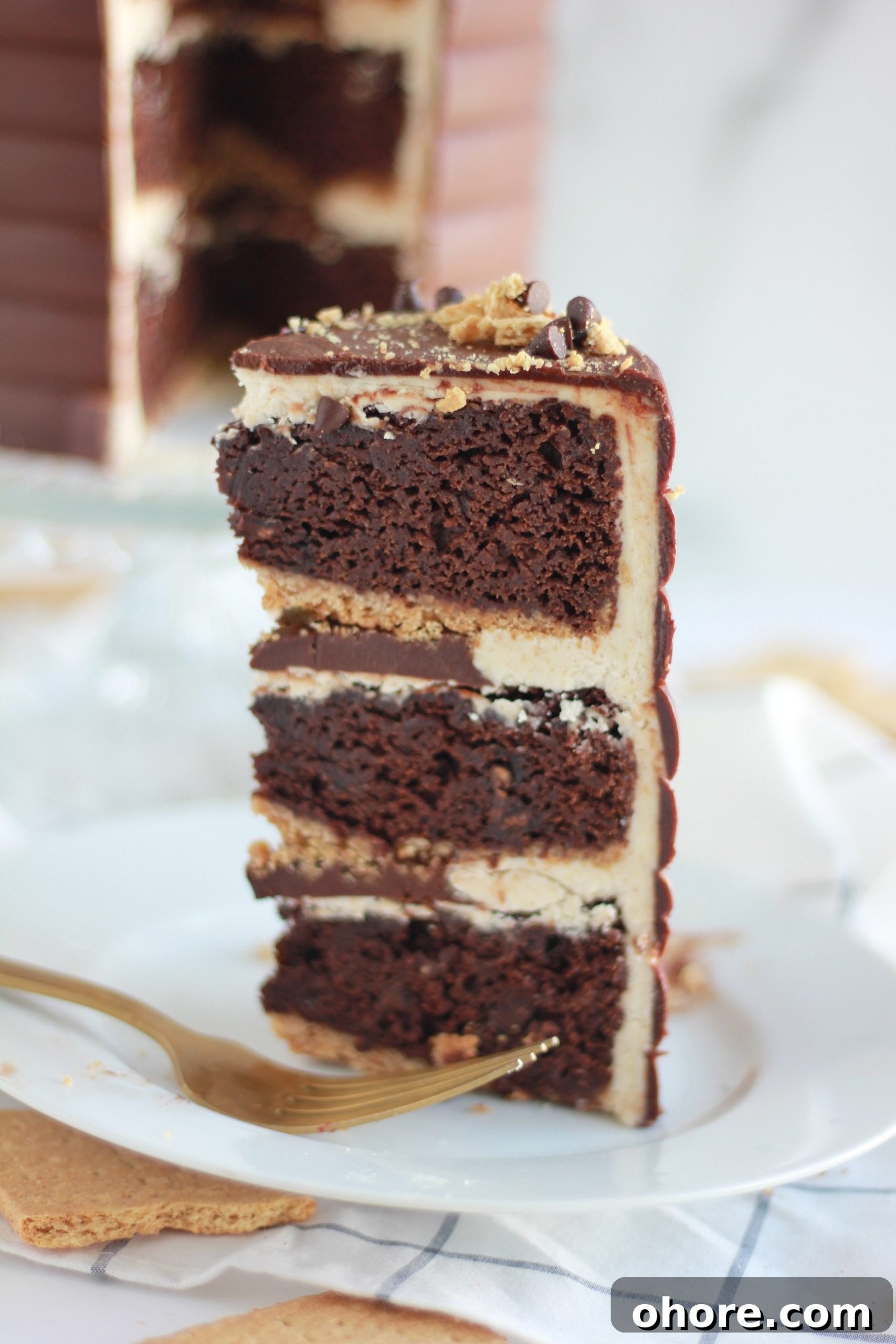Decadent Chocolate Graham Cracker Layer Cake Recipe 4 img 4429 3 scaled