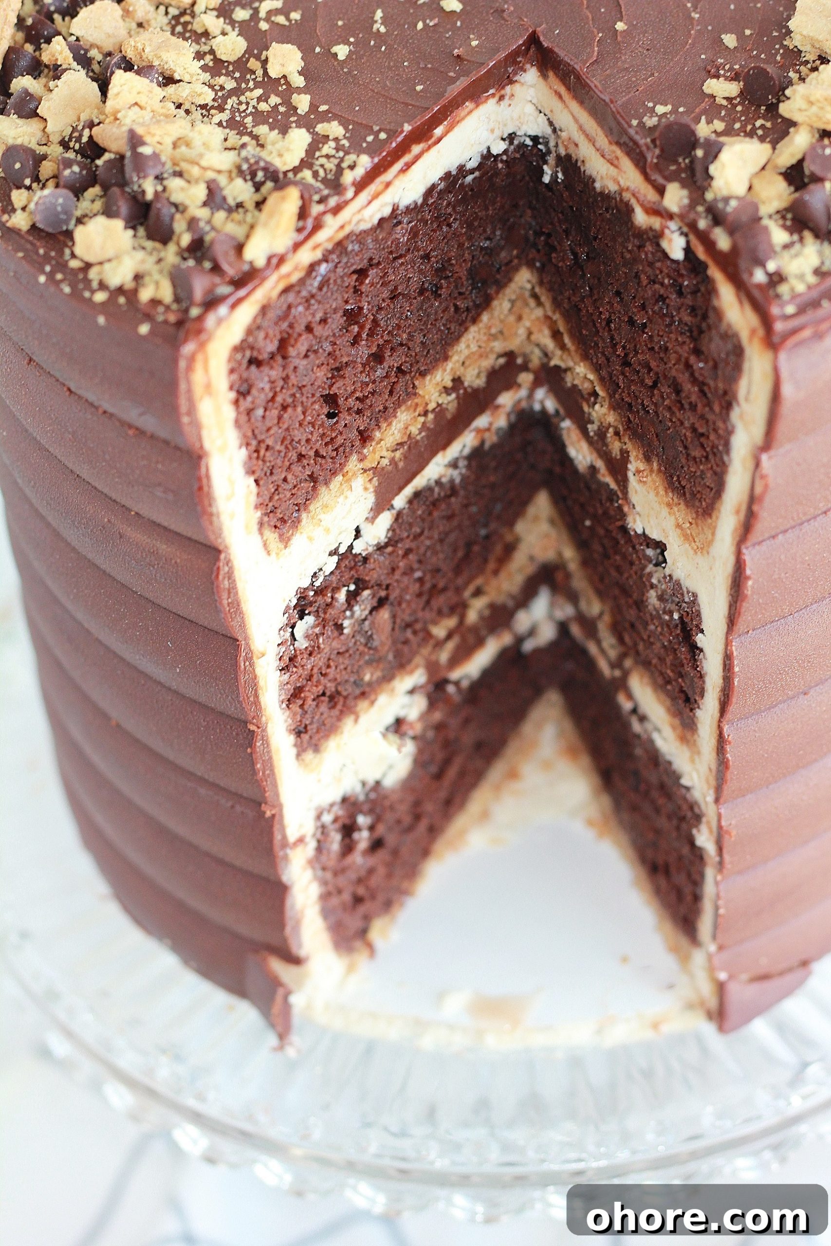 Decadent Chocolate Graham Cracker Layer Cake Recipe 5 img 4429 4 scaled